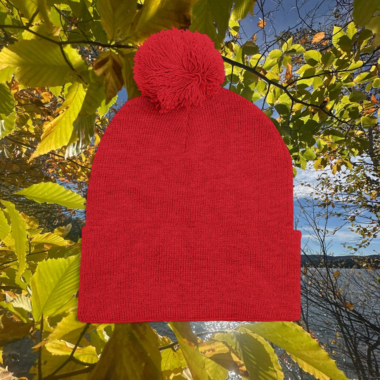 Pom-Pom Knit Cap (Embroidery)