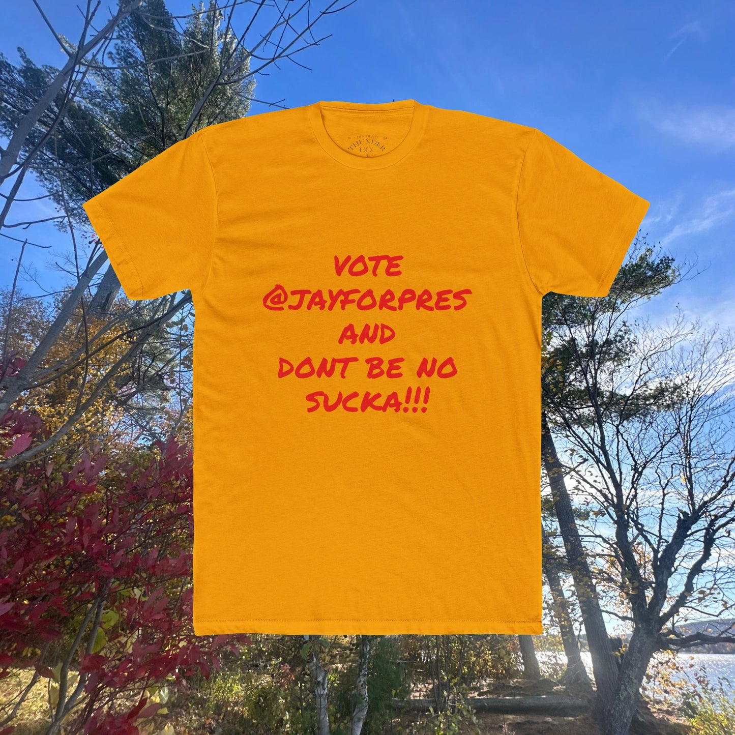 Vote Awareness Crew Tee, Unisex Political Shirt, Cotton Voting Top, Graphic Tee for Campaigns, Election Day Apparel