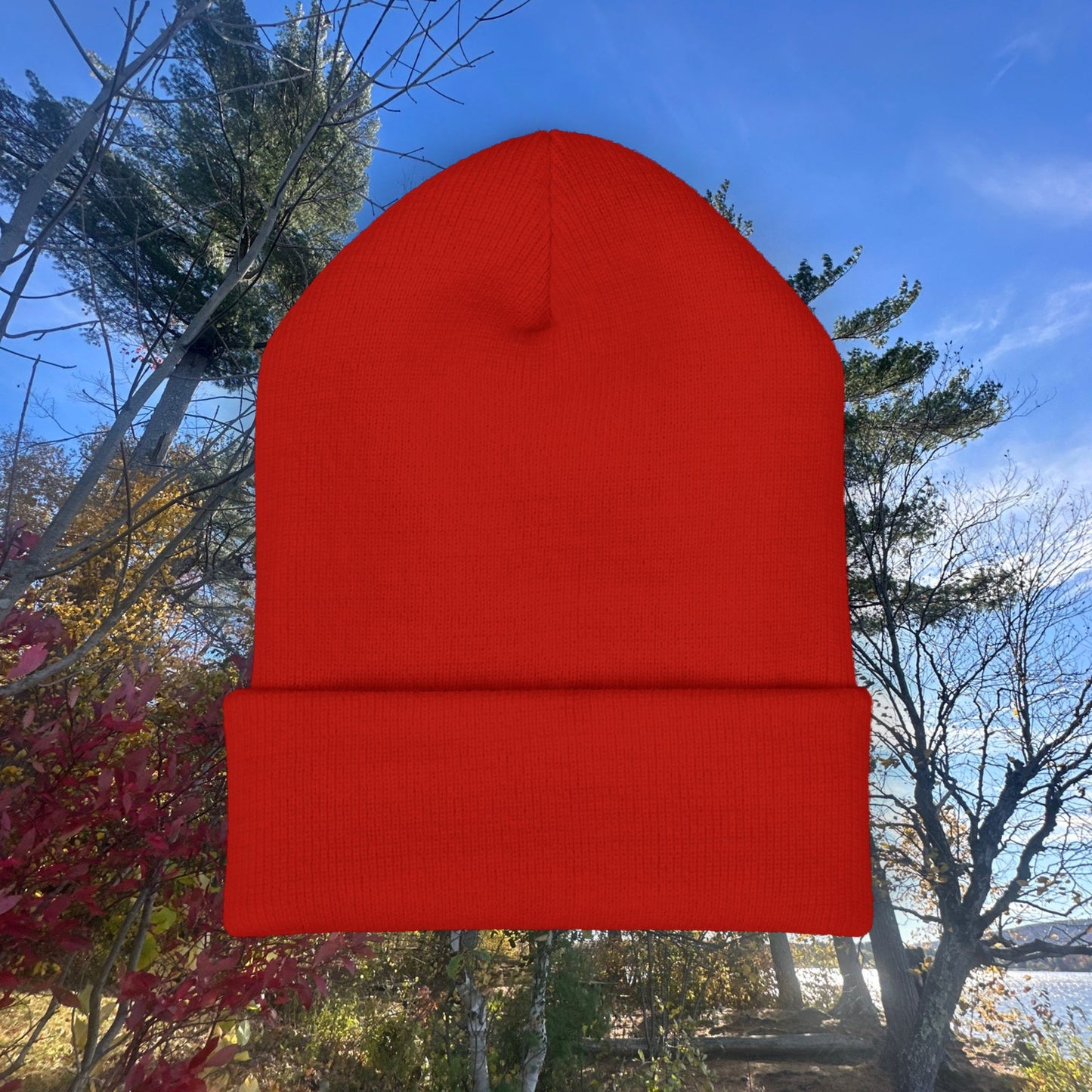 Classic Embroidered Cuffed Beanie for Trendy Style, Perfect Winter Gift, Streetwear Staple, Unisex Warm Hat