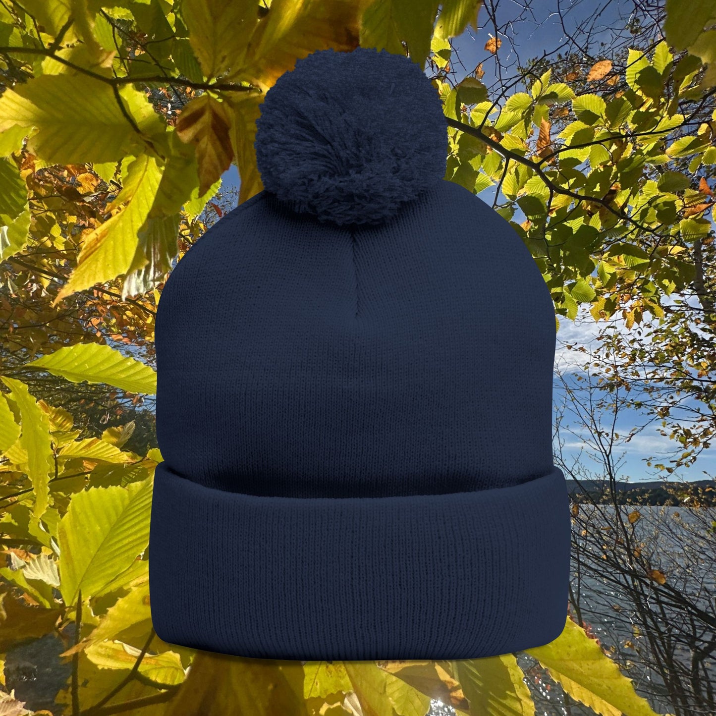 Pom-Pom Knit Cap (Embroidery)