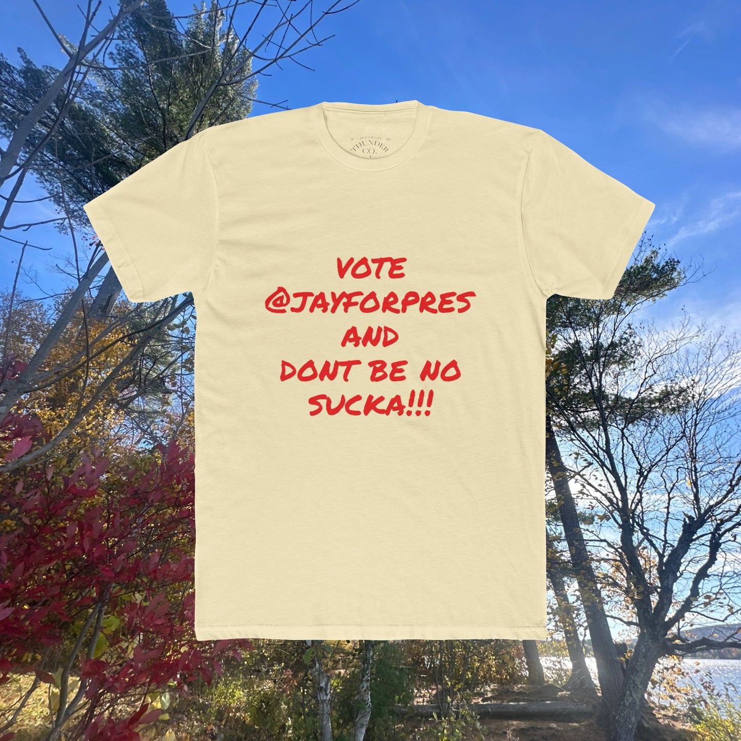 Vote Awareness Crew Tee, Unisex Political Shirt, Cotton Voting Top, Graphic Tee for Campaigns, Election Day Apparel