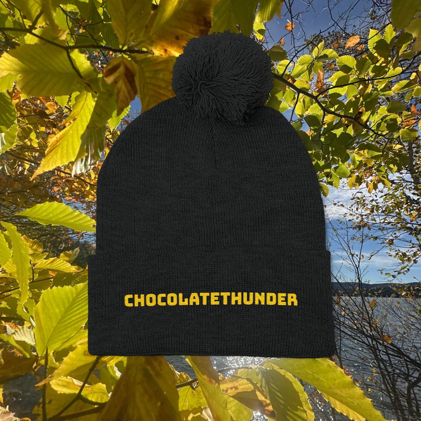 Pom-Pom Knit Cap (Embroidery)
