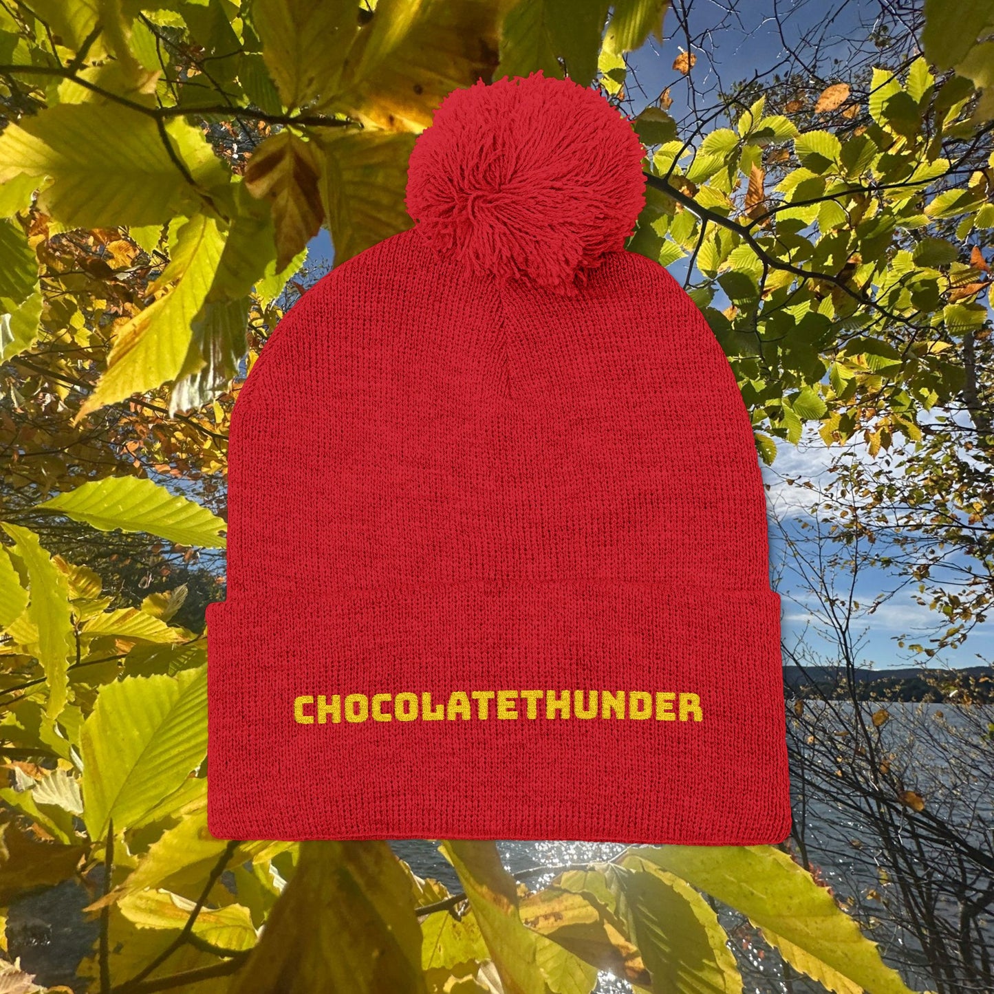 Pom-Pom Knit Cap (Embroidery)