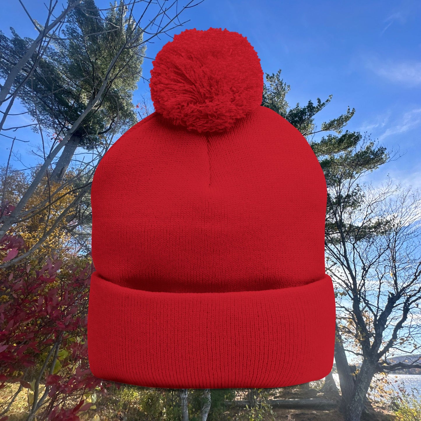 Pom-Pom Knit Cap with Custom Embroidery, Cozy Winter Beanie, Personalized Gift for Him/Her, Outdoor Fashion Accessory, Perfect for Holidays