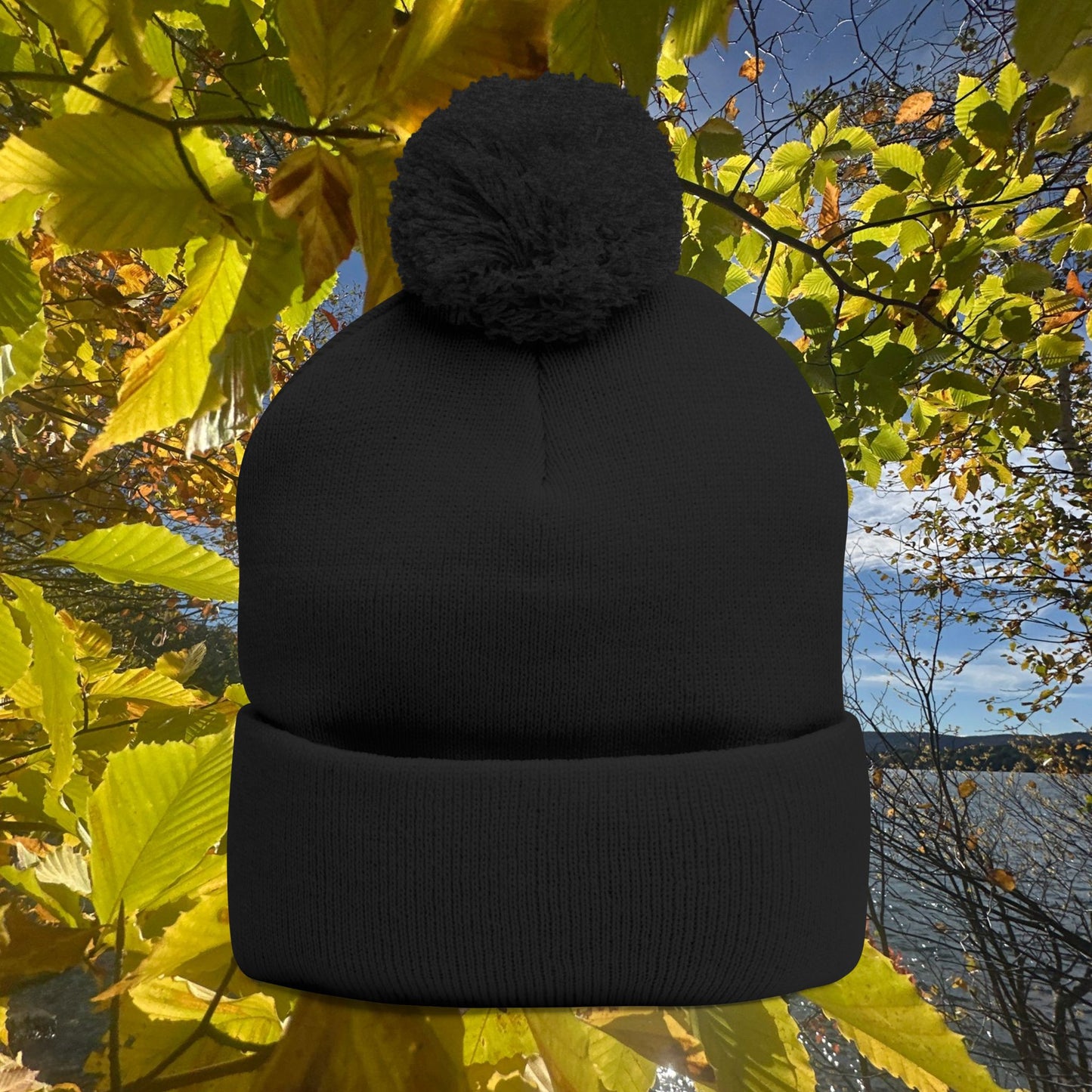 Pom-Pom Knit Cap (Embroidery)