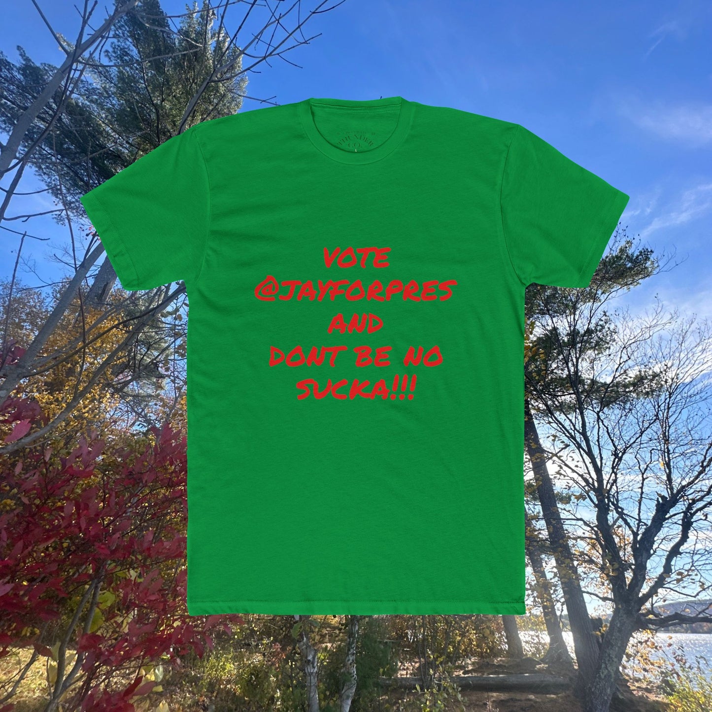 Vote Awareness Crew Tee, Unisex Political Shirt, Cotton Voting Top, Graphic Tee for Campaigns, Election Day Apparel