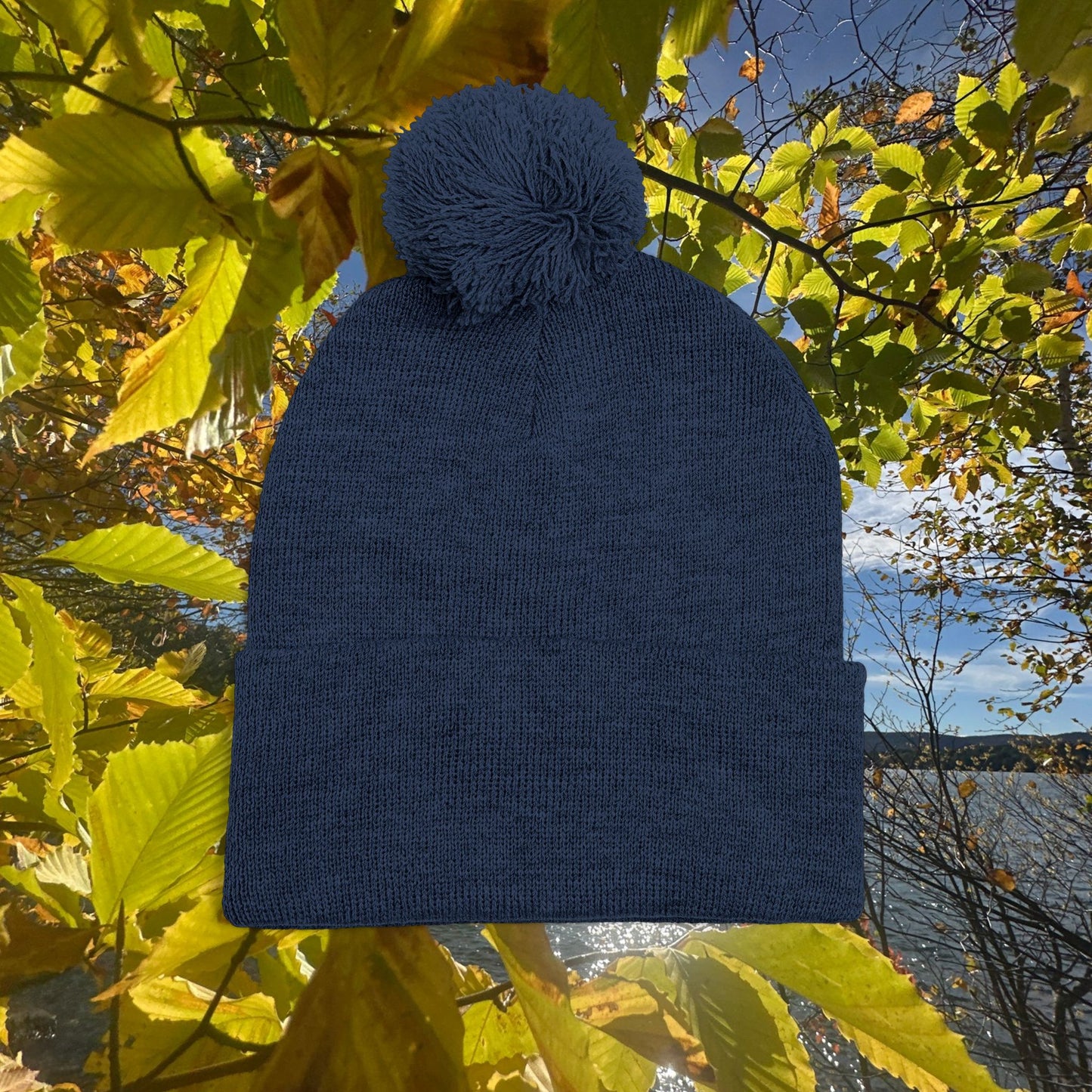 Pom-Pom Knit Cap (Embroidery)