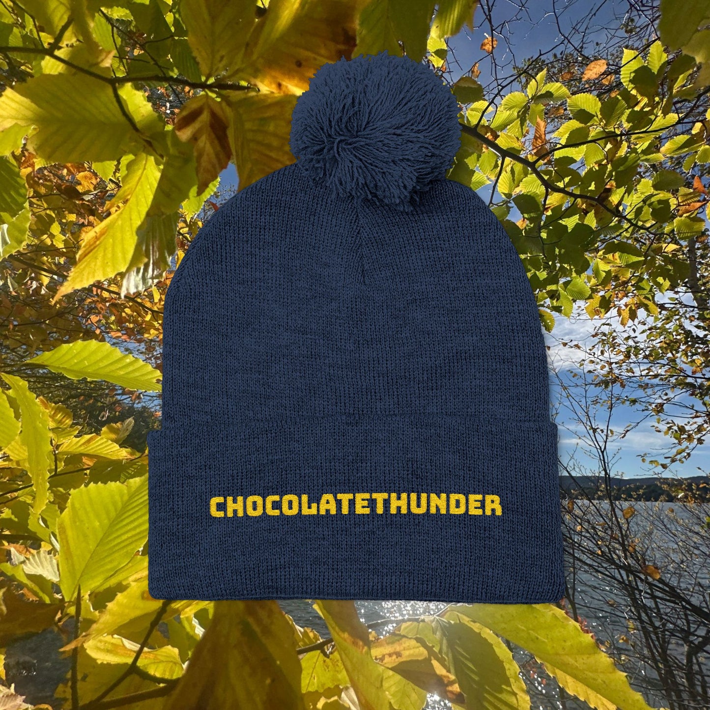 Pom-Pom Knit Cap (Embroidery)