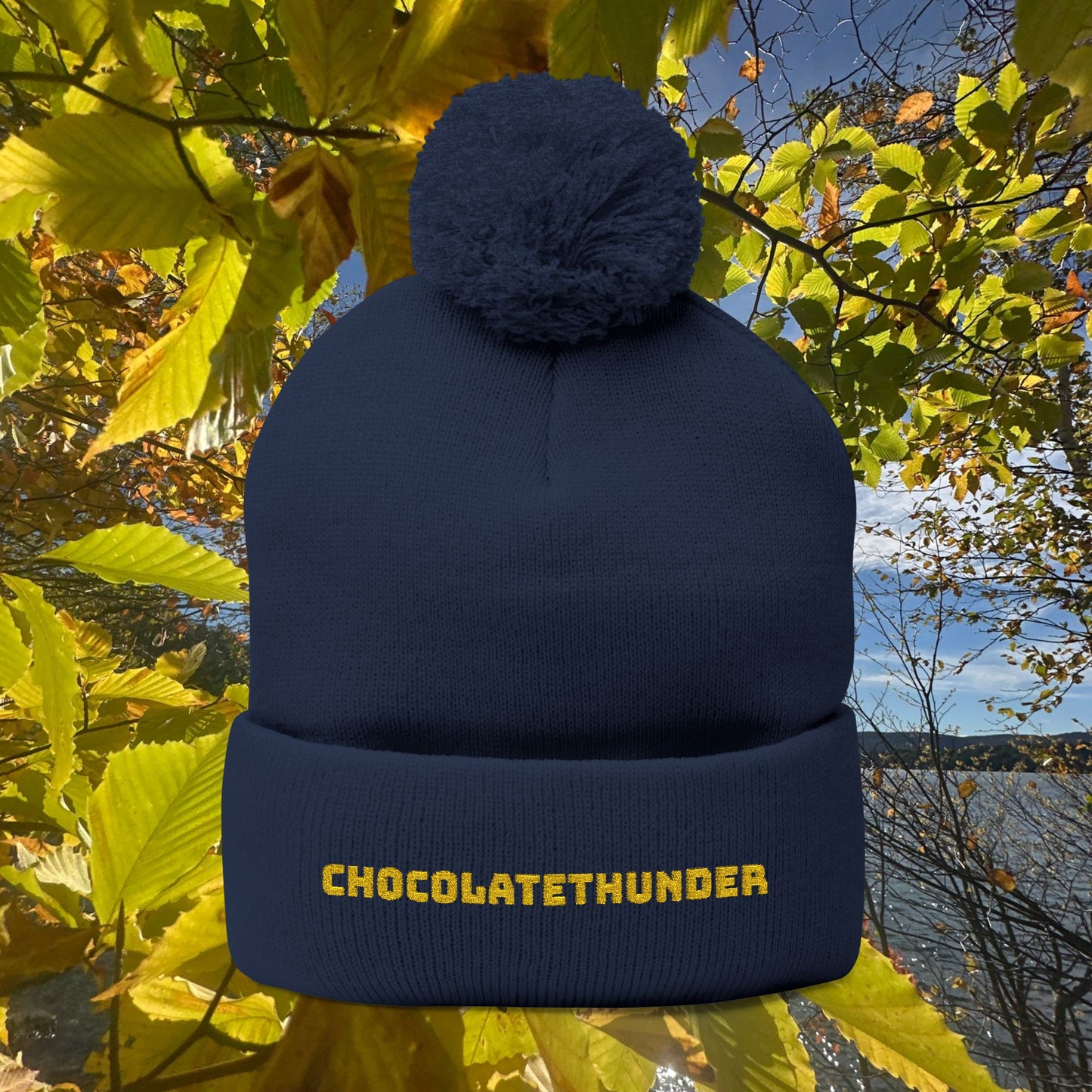 Pom-Pom Knit Cap (Embroidery)