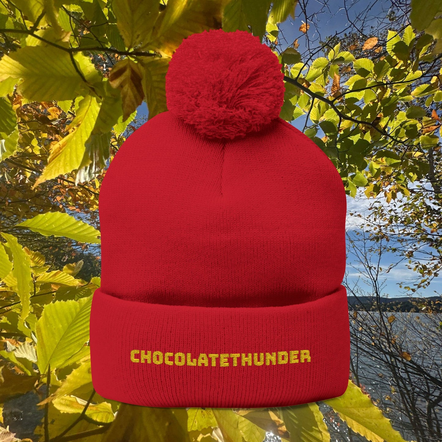 Pom-Pom Knit Cap (Embroidery)