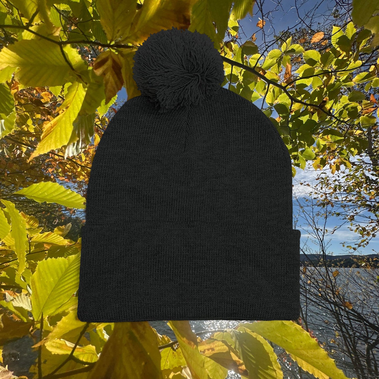Pom-Pom Knit Cap (Embroidery)