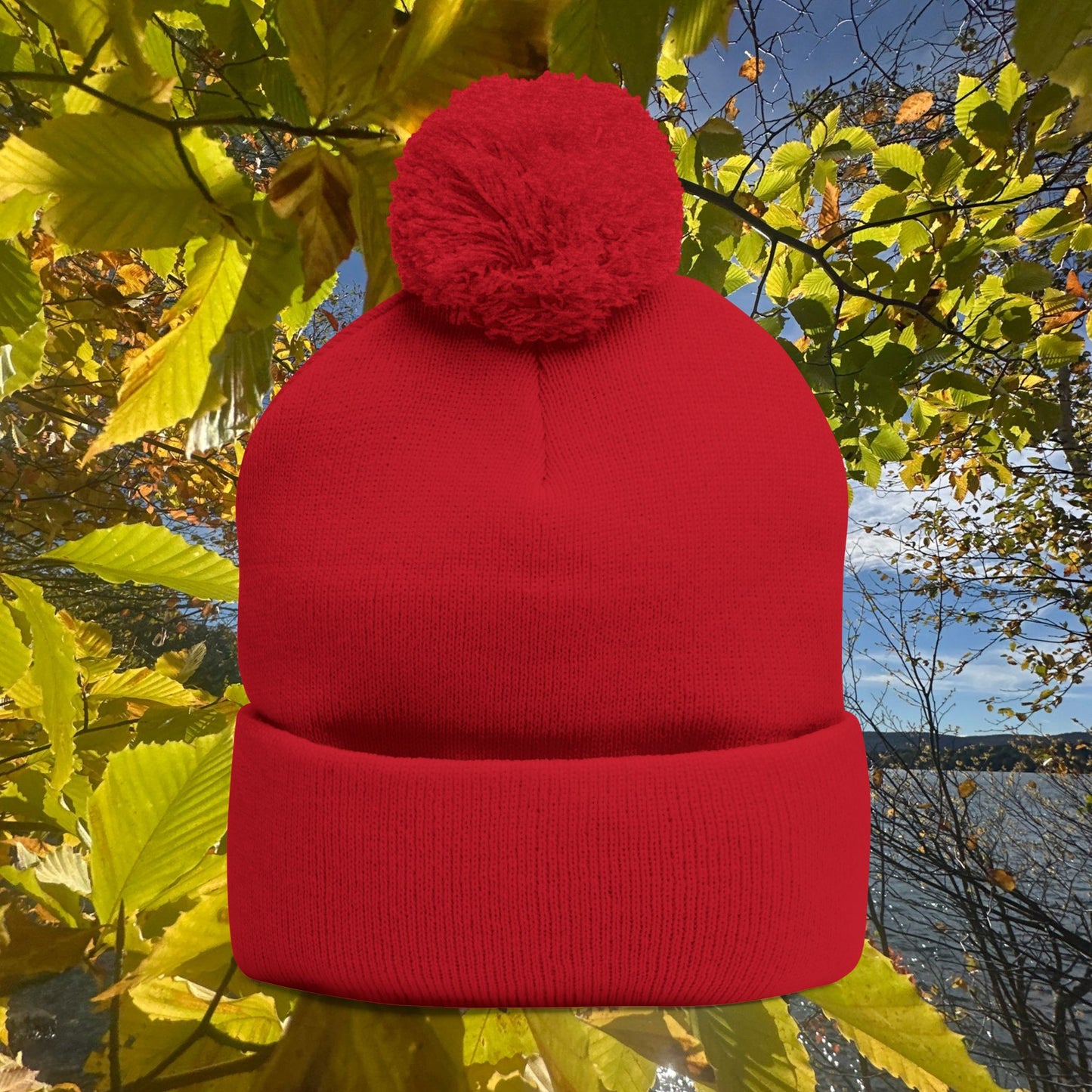 Pom-Pom Knit Cap (Embroidery)